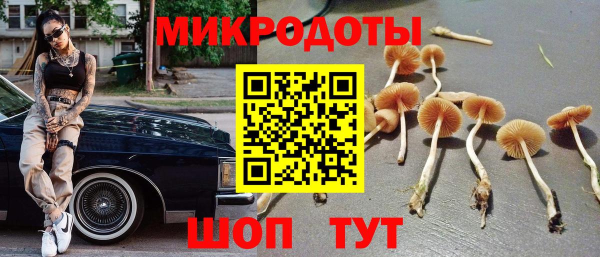 Псилоцибиновые грибы MAGIC MUSHROOMS Рузаевка